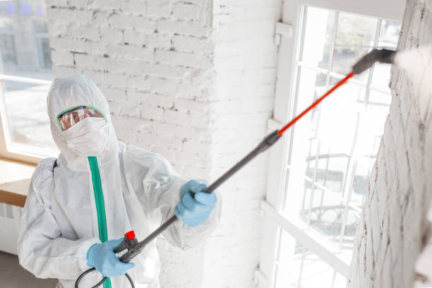 Best Post-Remediation Verification Testing  in Oviedo, FL