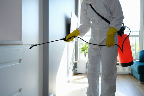 Best Mold Damage Restoration  in Oviedo, FL