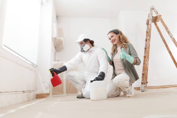 Best Asbestos and Lead Testing During Mold Inspection  in Oviedo, FL
