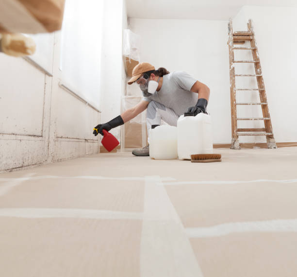 Reliable Oviedo, FL Mold Removal Solutions