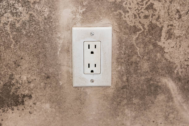 Best Mold Prevention Services  in Oviedo, FL